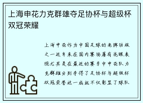上海申花力克群雄夺足协杯与超级杯双冠荣耀 上海申花力克群雄夺足协杯与超级杯双冠荣耀